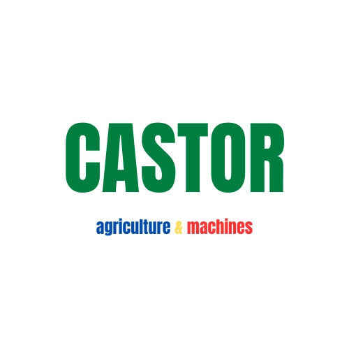 Castor